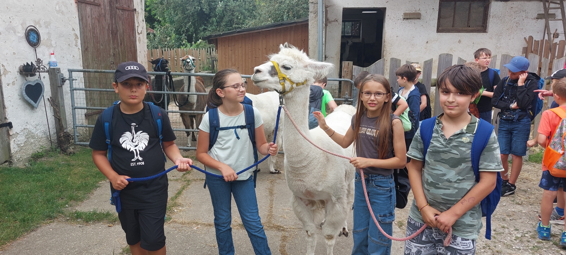 Fahrt zu den Alpakas und Lamas