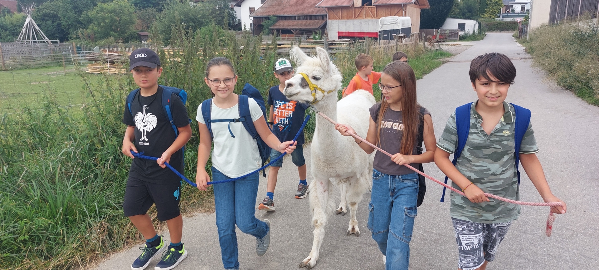 Fahrt zu den Alpakas und Lamas