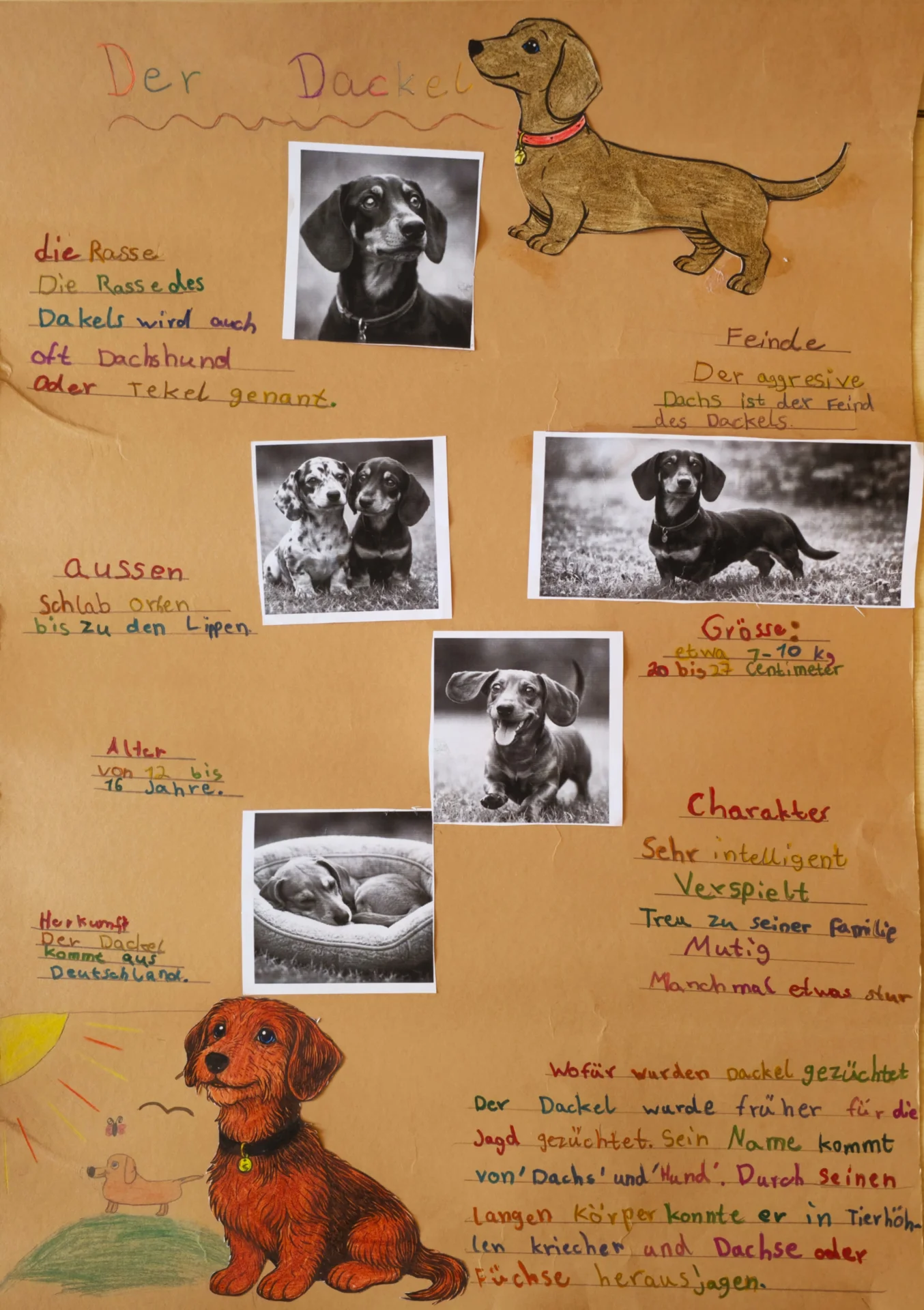 Plakat Hund