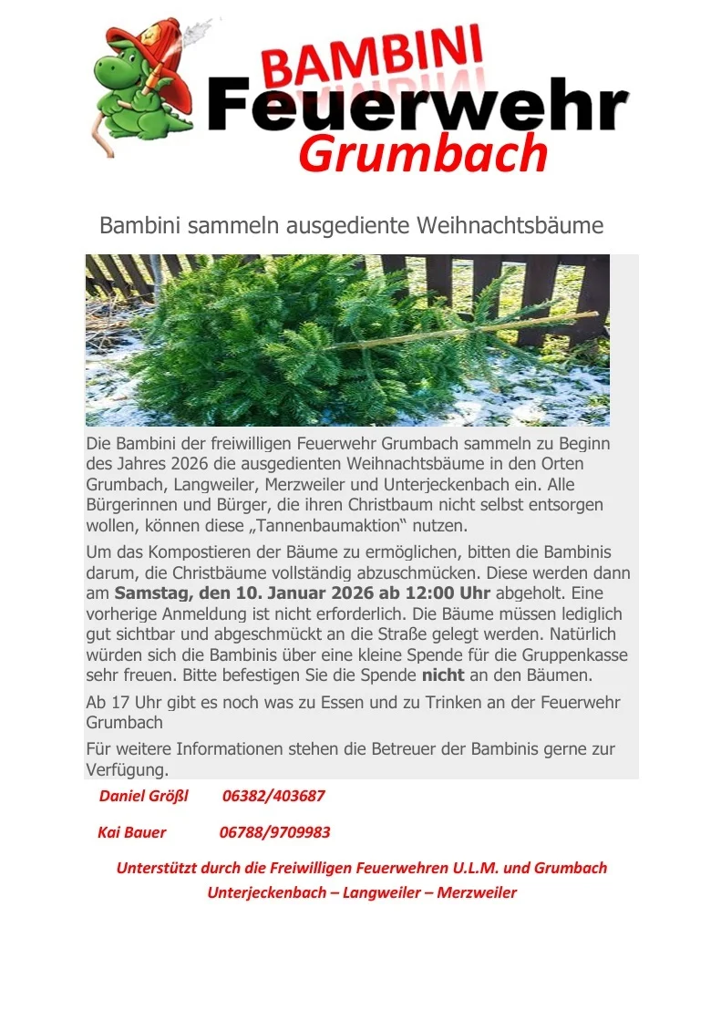 Weihnachtbäume sammeln