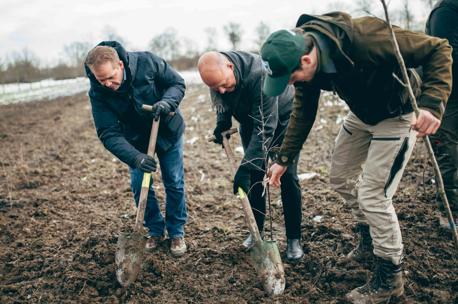 (v.l.) Umweltdezernent Uwe Zaar, Landrat Frank Rock, und Edward Olson von der SDW bei der Pflanzung eines jungen Baumes in Quadrath-Ichendorf
