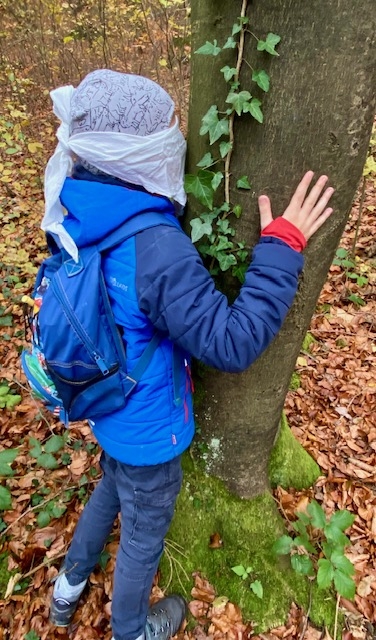 Der Baum, mein Freund