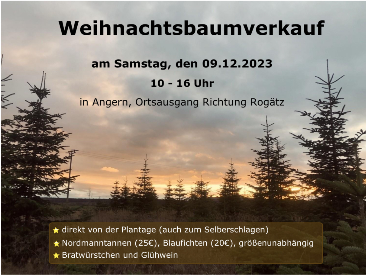 Weihnachtsbaumverkauf in Angern