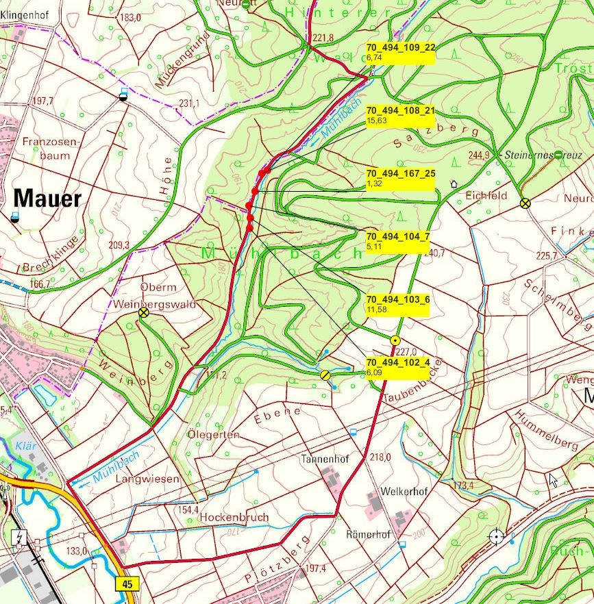 Lageplan Forstwald