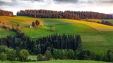 Hier und Heute: Stegen im Dreisamtal (SWR) - hier anschauen
