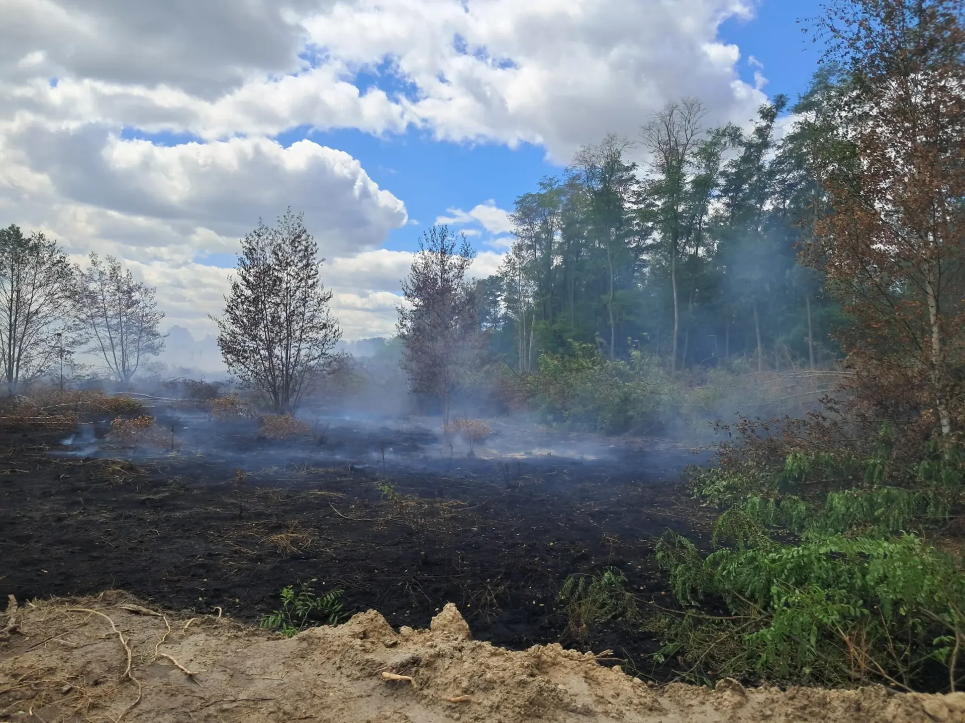 Eine Aufnahme von der brennenden Fläche am Kohletrübebecken vom 3.7.2026. (Foto: LMBV)