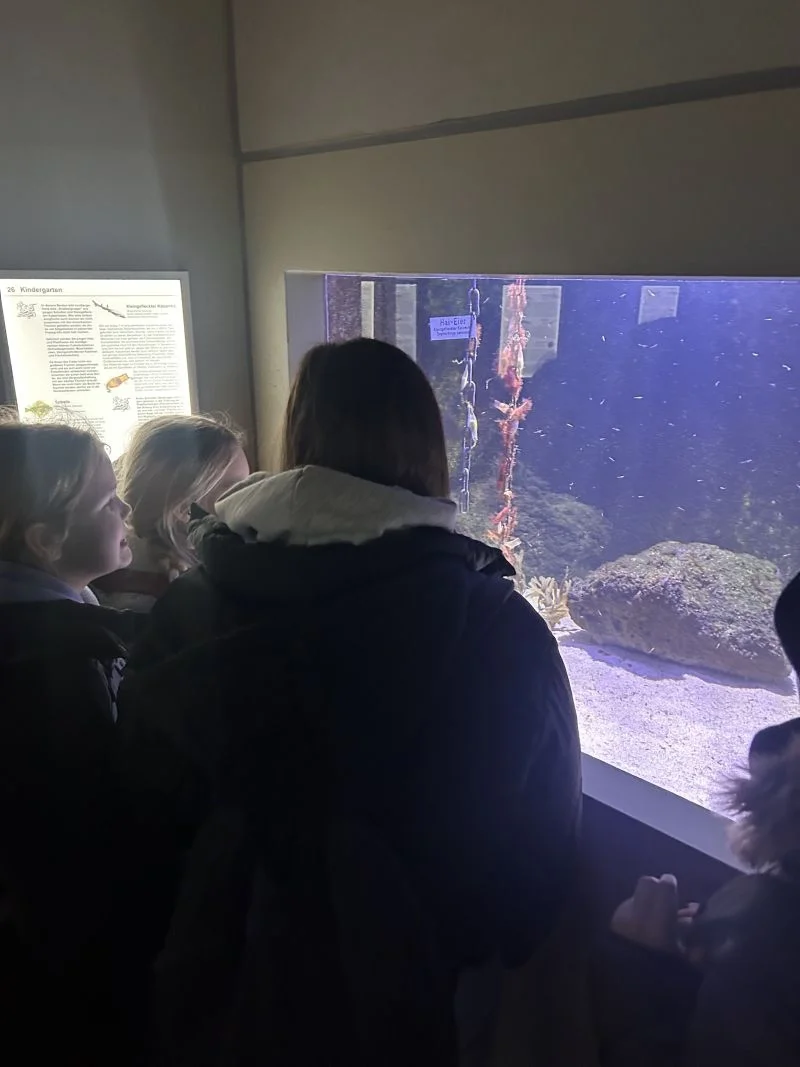 Schüler am Aquarium