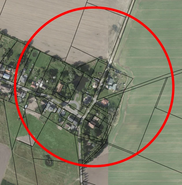 Birkenallee in Sagerheide