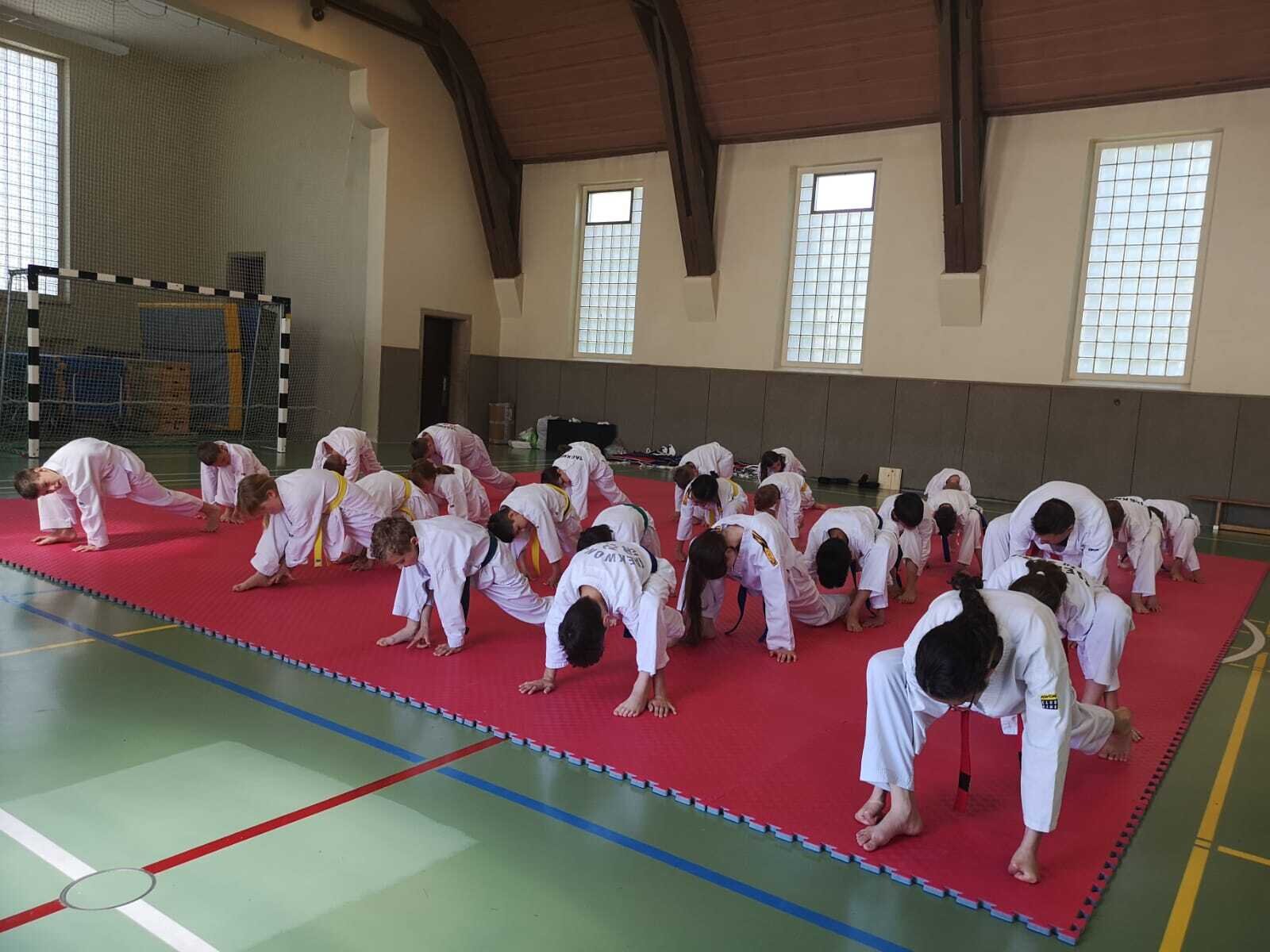 Juni 2019 Taekwondo 4