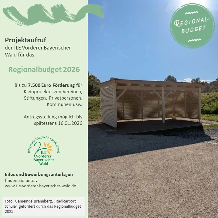 ILE Regionalbudget