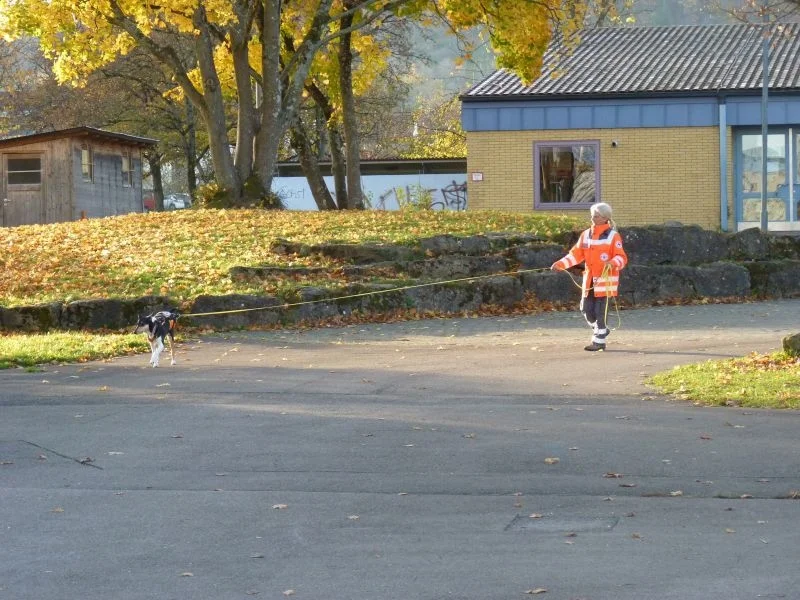 Hund mit Hundeführerin