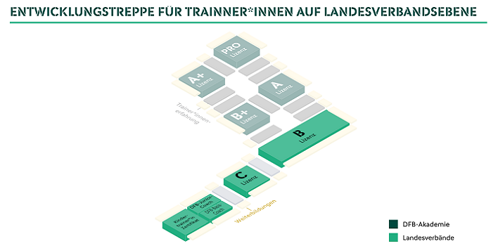 Entwicklungstreppe für Trainer*innen auf Landesverbandsebene © DFB