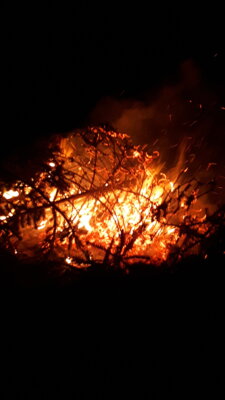 Meldung: Tannenbaum verbrennen 2024