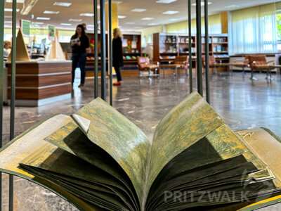 In der Stadtbibliothek tagt der Seniorenbeirat das erste Mal öffentlich - am 25. Januar. Foto: Katja Zeiger