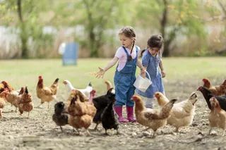 Kinder erleben den Bauernhof mit Sicherheit