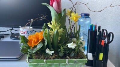 Meldung: Blumen zum Frauentag