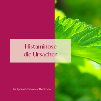 Blog: Ursachen Histaminose Histaminintoleranz (Bild vergrößern)