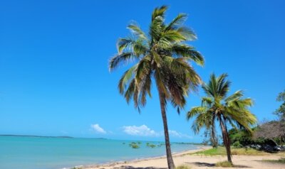 Urlaub am Strand (Bild vergrößern)