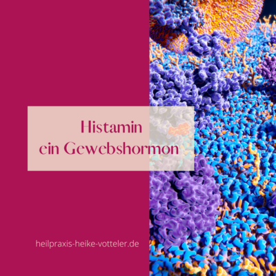 Histaminintoleranz (Bild vergr&ouml;&szlig;ern)