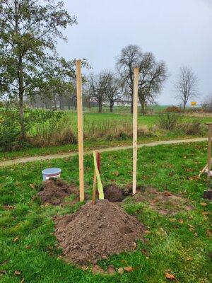 Meldung: Kinder-Streuobstwiese