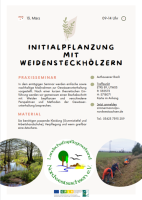 Praxisseminar: Initialpflanzung mit Weidensteckhölzern (Bild vergrößern)