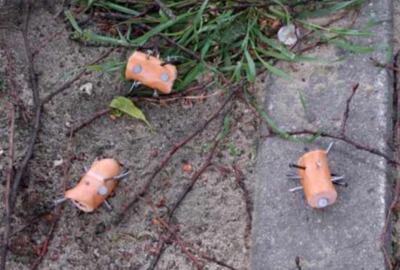 Foto zur Meldung: Vorsicht! - Hundeköder mit Nägeln ausgelegt