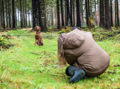 Die Schafflunderin Celin Bramser macht ihr Hobby zum Traumberuf und arbeitet als Hundefotografin