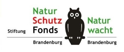 Brandenburger Naturschutzpreis 2024: Einsendungen bis zum 30. April möglich!