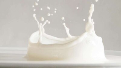Milchwirtschaft und Melktechnik (Bild vergrößern)