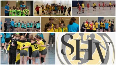 Handball-Leidenschaft: SHV Oschatz feiert Erfolge und Teamgeist (Bild vergrößern)