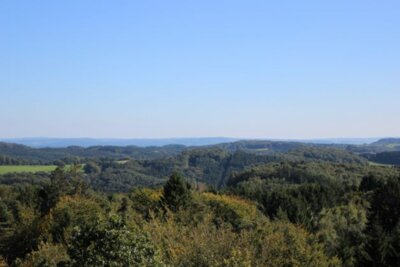 Wald in NRW (Bild vergrößern)