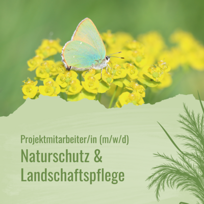 Projektmitarbeiter/in (m/w/d) für Naturschutz & Landschaftspflege im Naturschutz (Bild vergrößern)
