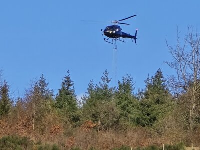 Foto zur Meldung: Waldkalkung per Hubschrauber