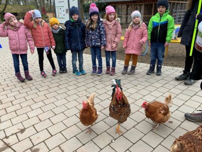 Die Kinder der Kindertagesstätte zu Besuch im WirtGarten in Fulda
