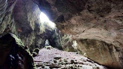 In der Einhornhöhle