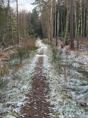 Der 12 Brückenweg bei Knesebeck (Bild vergrößern)