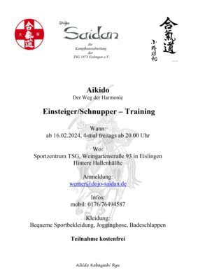 Einsteigertraining Aikido (Bild vergrößern)