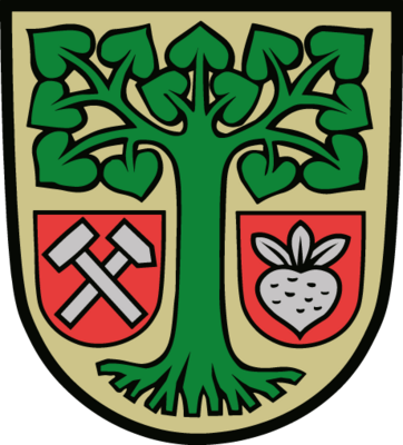 Kommunalwahlen am 9. Juni 2024 im Land Brandenburg