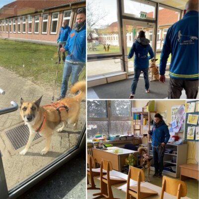 Hundeschule und Osterbriefe