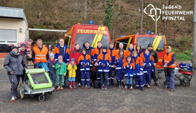 Jugendabteilung der freiwilligen Feuerwehr Pfinztal Abt. Berghausen räumt den Wald auf! (Bild vergrößern)