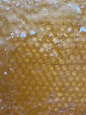 Jetzt die Honigräume aufsetzen (Bild vergrößern)