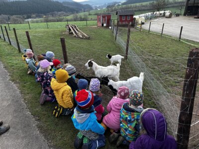 Kita-Kinder besuchen den Trifterhof (Bild vergrößern)