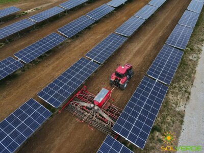 Foto: Solverde Projektentwicklung | Agri-Photovoltaik ermöglicht Landwirtschaft und Stromerzeugung auf einer Fläche.