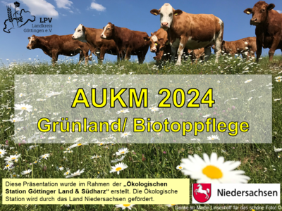 Foto zur Meldung: AUKM-Infoabend 2024 mit Schwerpunkt Grünland & Biotoppflege - Präsentation jetzt online