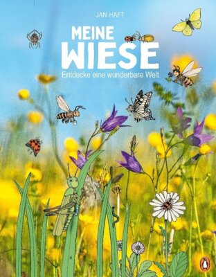 Jan Haft - Meine Wiese - Entdecke eine wunderbare Welt - Sachbilderbuch für Kinder