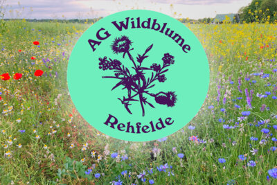 Vorschaubild zur Meldung: AG Wildblume: Neue Pläne für mehr Wildwuchs