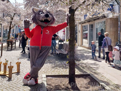 Willy Wolf ist auf jeden Fall dabei: Pritzwalk lädt für den 27. April zum Frühlingserwachen ein. Foto: Lena-Isabell Mohneke
