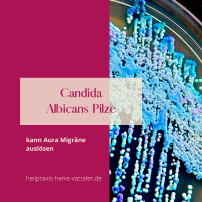 Candida albicans und Aura Migräne (Bild vergrößern)