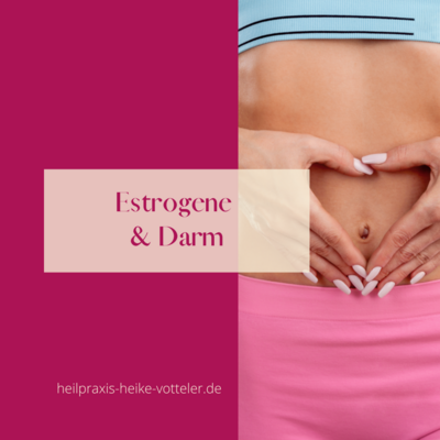 Estrogene & Darm (Bild vergrößern)