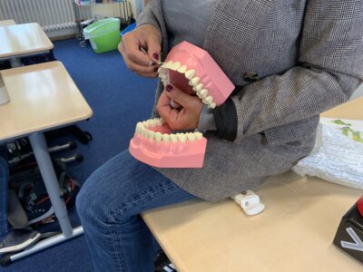 Vorschaubild zur Meldung: Zahnärztlicher Prophylaxe-Unterricht durch Frau Deniz vom Gesundheitsamt OHZ